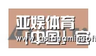 亚娱体育合作伙伴六