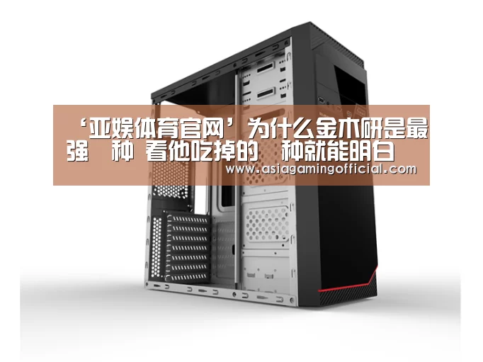 亚娱体育
