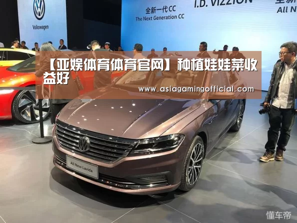 亚娱体育体育官网