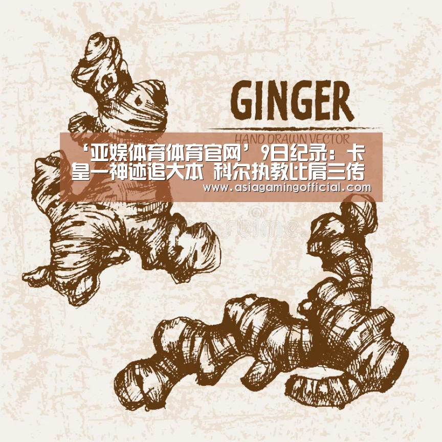 亚娱体育
