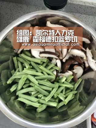 亚娱体育体育官网