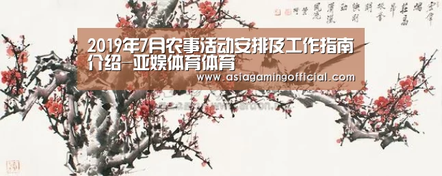 亚娱体育体育