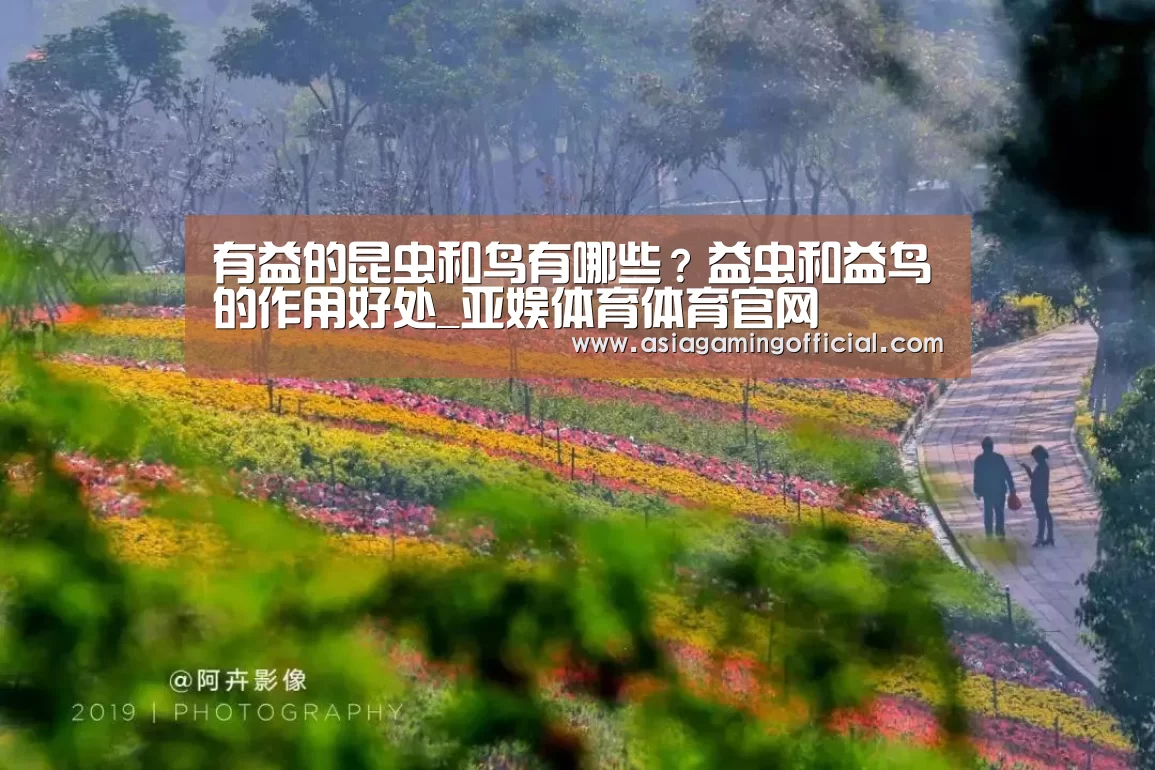 亚娱体育