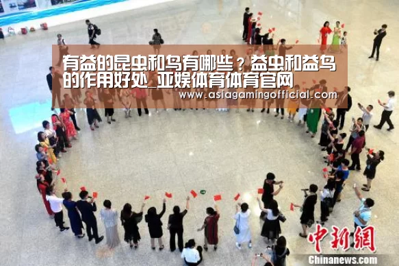 亚娱体育体育官网