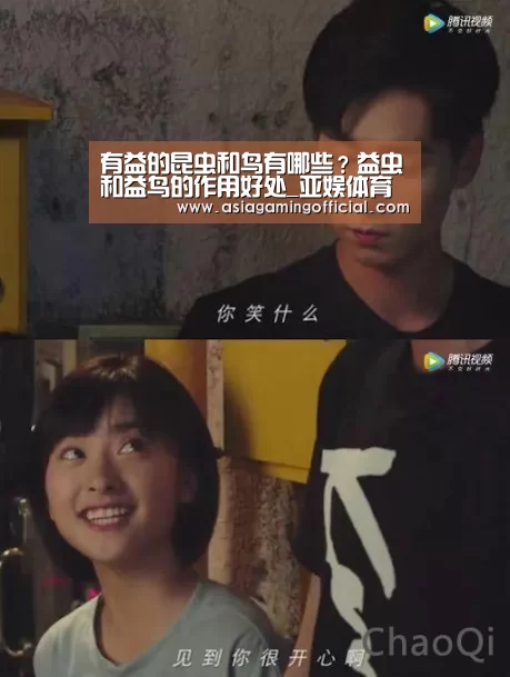亚娱体育官网