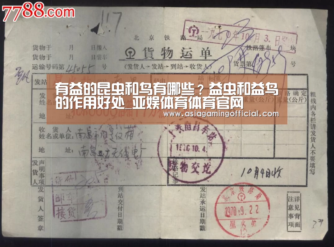 亚娱体育体育官网