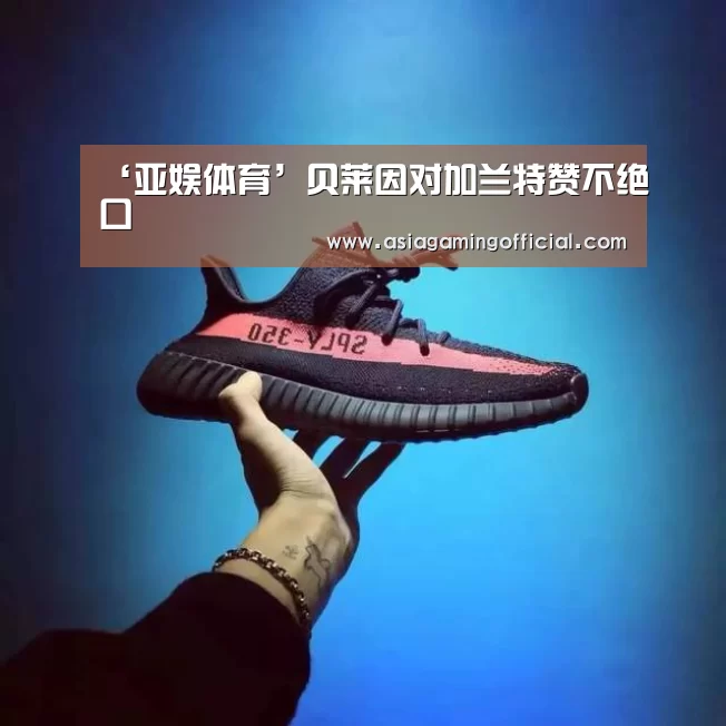 亚娱体育体育官网